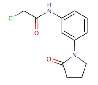 2-chloro-N-[3-(2-oxopyrrolidin-1-yl)phenyl]acetamide - chemical structure image