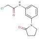 2-chloro-N-[3-(2-oxopyrrolidin-1-yl)phenyl]acetamide - chemical structure image