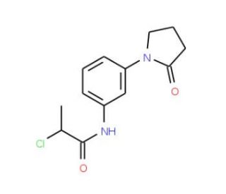 2-chloro-N-[3-(2-oxopyrrolidin-1-yl)phenyl]propanamide - chemical structure image