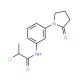 2-chloro-N-[3-(2-oxopyrrolidin-1-yl)phenyl]propanamide - chemical structure image