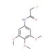 2-chloro-N-(3,4,5-trimethoxyphenyl)acetamide (CAS 39901-45-6) - chemical structure image