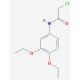 2-chloro-N-(3,4-diethoxyphenyl)acetamide - chemical structure image