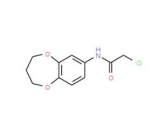 2-Chloro-N-(3,4-dihydro-2H-benzo[b][1,4]dioxepin-7-yl)-acetamide - chemical structure image