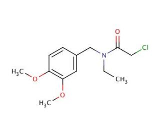 2-chloro-N-(3,4-dimethoxybenzyl)-N-ethylacetamide - chemical structure image