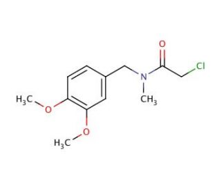 2-chloro-N-(3,4-dimethoxybenzyl)-N-methylacetamide - chemical structure image