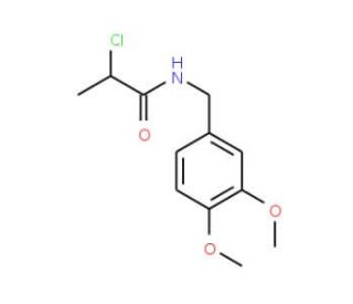 2-chloro-N-(3,4-dimethoxybenzyl)propanamide - chemical structure image