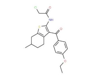 2-chloro-N-[3-(4-ethoxybenzoyl)-6-methyl-4,5,6,7-tetrahydro-1-benzothien-2-yl]acetamide - chemical structure image