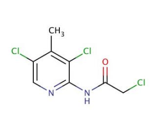 2-Chloro-N-(3,5-dichloro-4-methyl-pyridin-2-yl)-acetamide - chemical structure image