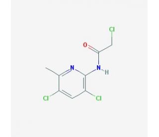 2-Chloro-N-(3,5-dichloro-6-methyl-pyridin-2-yl)-acetamide - chemical structure image