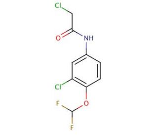 2-chloro-N-[3-chloro-4-(difluoromethoxy)phenyl]acetamide - chemical structure image