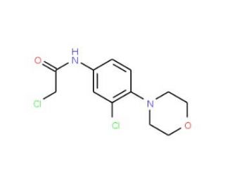 2-Chloro-N-(3-chloro-4-morpholin-4-yl-phenyl)-acetamide - chemical structure image