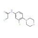 2-Chloro-N-(3-chloro-4-morpholin-4-yl-phenyl)-acetamide - chemical structure image