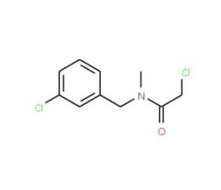 2-chloro-N-(3-chlorobenzyl)-N-methylacetamide - chemical structure image