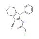 2-chloro-N-(3-cyano-1-phenyl-4,5,6,7-tetrahydro-1H-indol-2-yl)acetamide - chemical structure image