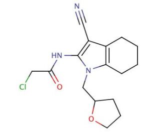 2-chloro-N-[3-cyano-1-(tetrahydrofuran-2-ylmethyl)-4,5,6,7-tetrahydro-1H-indol-2-yl]acetamide - chemical structure image