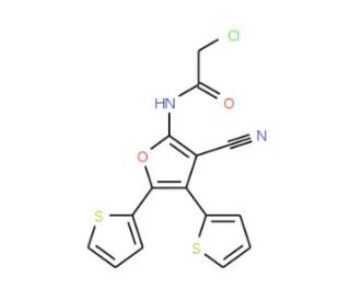 2-Chloro-N-(3-cyano-4,5-di-thiophen-2-yl-furan-2-yl)-acetamide - chemical structure image