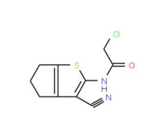 2-Chloro-N-(3-cyano-5,6-dihydro-4H-cyclopenta[b]thiophen-2-yl)-acetamide (CAS 304685-87-8) - chemical structure image
