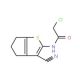 2-Chloro-N-(3-cyano-5,6-dihydro-4H-cyclopenta[b]thiophen-2-yl)-acetamide (CAS 304685-87-8) - chemical structure image