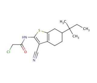 2-Chloro-N-[3-cyano-6-(1,1-dimethyl-propyl)-4,5,6,7-tetrahydro-benzo[b]thiophen-2-yl]-acetamide - chemical structure image