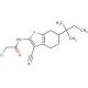 2-Chloro-N-[3-cyano-6-(1,1-dimethyl-propyl)-4,5,6,7-tetrahydro-benzo[b]thiophen-2-yl]-acetamide - chemical structure image