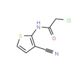2-Chloro-N-(3-cyanothien-2-yl)acetamide (CAS 55654-19-8) - chemical structure image