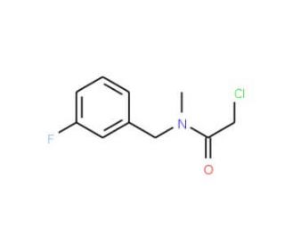 2-chloro-N-(3-fluorobenzyl)-N-methylacetamide - chemical structure image