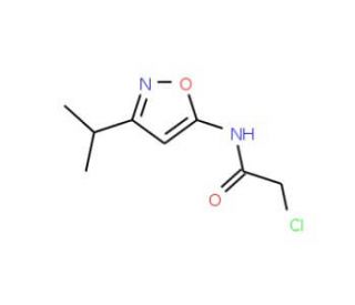 2-chloro-N-(3-isopropylisoxazol-5-yl)acetamide - chemical structure image