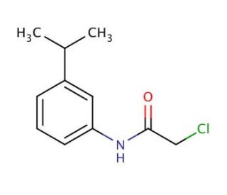 2-chloro-N-(3-isopropylphenyl)acetamide - chemical structure image