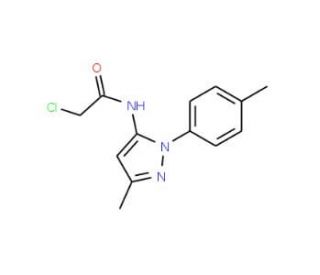 2-chloro-N-[3-methyl-1-(4-methylphenyl)-1H-pyrazol-5-yl]acetamide - chemical structure image