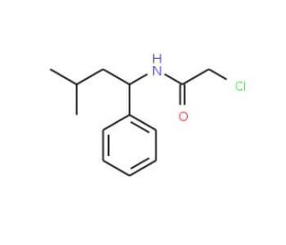 2-chloro-N-(3-methyl-1-phenylbutyl)acetamide - chemical structure image