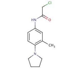 2-chloro-N-(3-methyl-4-pyrrolidin-1-ylphenyl)acetamide - chemical structure image