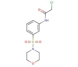 2-Chloro-N-[3-(morpholine-4-sulfonyl)-phenyl]-acetamide - chemical structure image