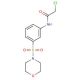 2-Chloro-N-[3-(morpholine-4-sulfonyl)-phenyl]-acetamide - chemical structure image