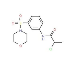 2-Chloro-N-[3-(morpholine-4-sulfonyl)-phenyl]-propionamide - chemical structure image