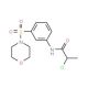 2-Chloro-N-[3-(morpholine-4-sulfonyl)-phenyl]-propionamide - chemical structure image