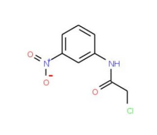 2-Chloro-N-(3-nitrophenyl)acetamide (CAS 10147-71-4) - chemical structure image