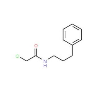2-Chloro-N-(3-phenyl-propyl)-acetamide (CAS 64297-91-2) - chemical structure image