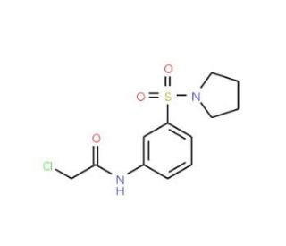 2-Chloro-N-[3-(pyrrolidine-1-sulfonyl)-phenyl]-acetamide - chemical structure image