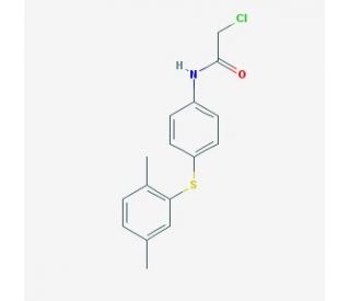 2-chloro-N-{4-[(2,5-dimethylphenyl)thio]phenyl}acetamide - chemical structure image