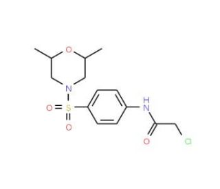 2-chloro-N-{4-[(2,6-dimethylmorpholin-4-yl)sulfonyl]phenyl}acetamide - chemical structure image