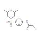 2-chloro-N-{4-[(2,6-dimethylmorpholin-4-yl)sulfonyl]phenyl}acetamide - chemical structure image
