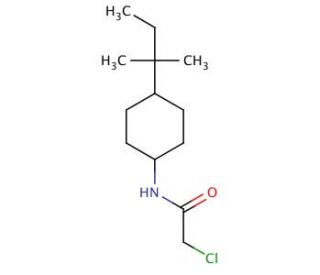 2-chloro-N-[4-(1,1-dimethylpropyl)cyclohexyl]acetamide - chemical structure image
