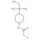 2-chloro-N-[4-(1,1-dimethylpropyl)cyclohexyl]acetamide - chemical structure image
