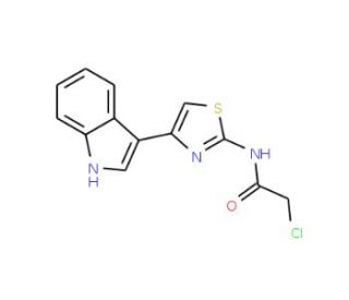2-chloro-N-[4-(1H-indol-3-yl)-1,3-thiazol-2-yl]acetamide (CAS 19750-29-9) - chemical structure image