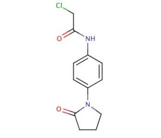 2-chloro-N-[4-(2-oxopyrrolidin-1-yl)phenyl]acetamide - chemical structure image