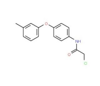 2-chloro-N-[4-(3-methylphenoxy)phenyl]acetamide (CAS 69838-52-4) - chemical structure image