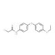 2-chloro-N-[4-(4-ethoxyphenoxy)phenyl]acetamide (CAS 38008-37-6) - chemical structure image