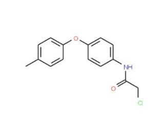 2-chloro-N-[4-(4-methylphenoxy)phenyl]acetamide (CAS 38008-32-1) - chemical structure image