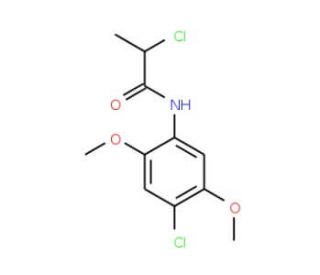 2-Chloro-N-(4-chloro-2,5-dimethoxyphenyl)-propanamide - chemical structure image