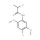 2-Chloro-N-(4-chloro-2,5-dimethoxyphenyl)-propanamide - chemical structure image